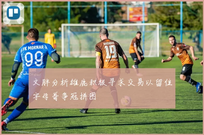 文胖分析雄鹿积极寻求交易以留住字母哥争冠拼图